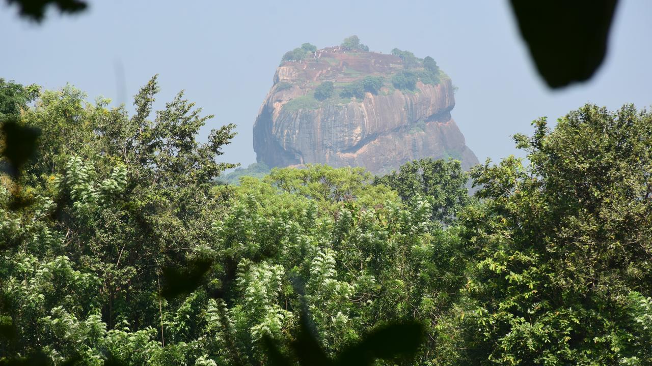 Sigiri Sarilco Rock View Treehouse Villa Sigiriya Exterior photo