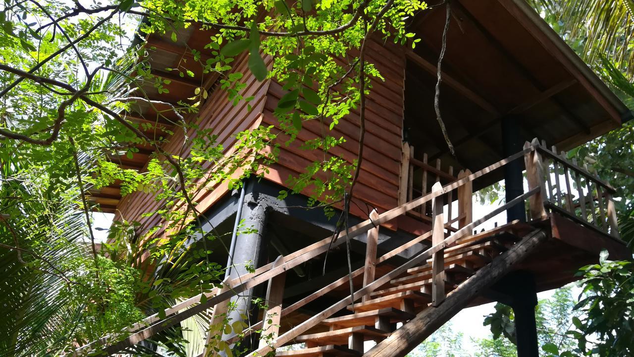 Sigiri Sarilco Rock View Treehouse Villa Sigiriya Exterior photo